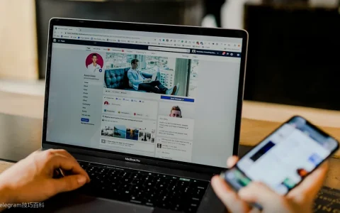 Telegram群组目录站盘点：分类找群的捷径