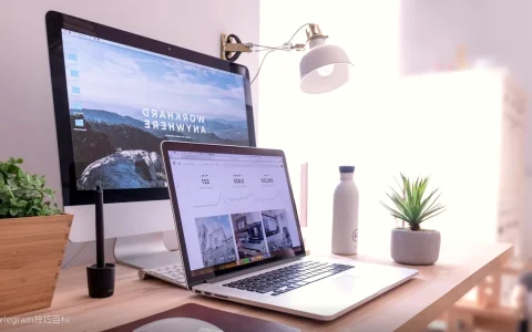 Telegram使用教程：从下载到精通的全套路线图